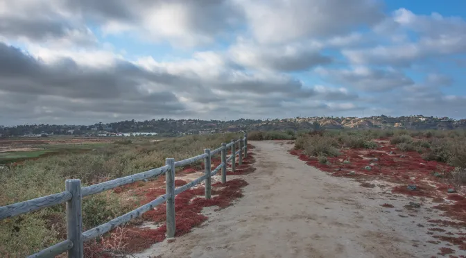 Dust Devil Trail-Stroller Friendly
