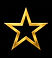star icon golden_edited.jpg