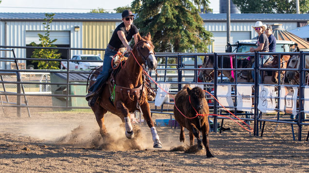 Breakaway Roping Thrives In Vermilion With Local Summer Series