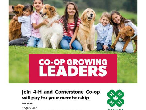 4-H Alberta Partners With Federated Co-Operatives Limited And Local Alberta Co-Ops To Introduce New