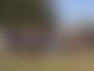 Community Comes Together For TD Tree Days