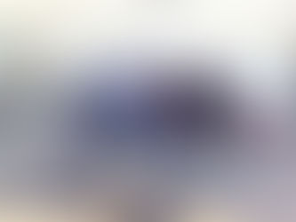 LandView Ag Drone School