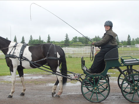 East-West Carriage Driving Trials
