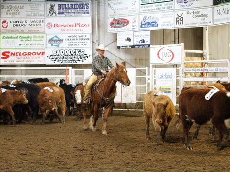 Giddyup For The Cowboys And Cowhorses
