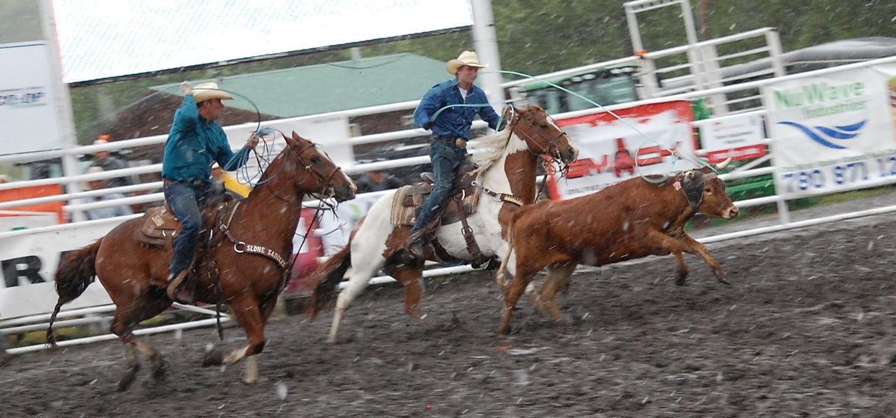 DSC_5394_edited