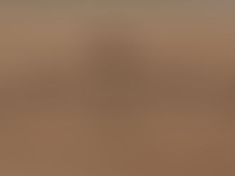 Military Food Rations