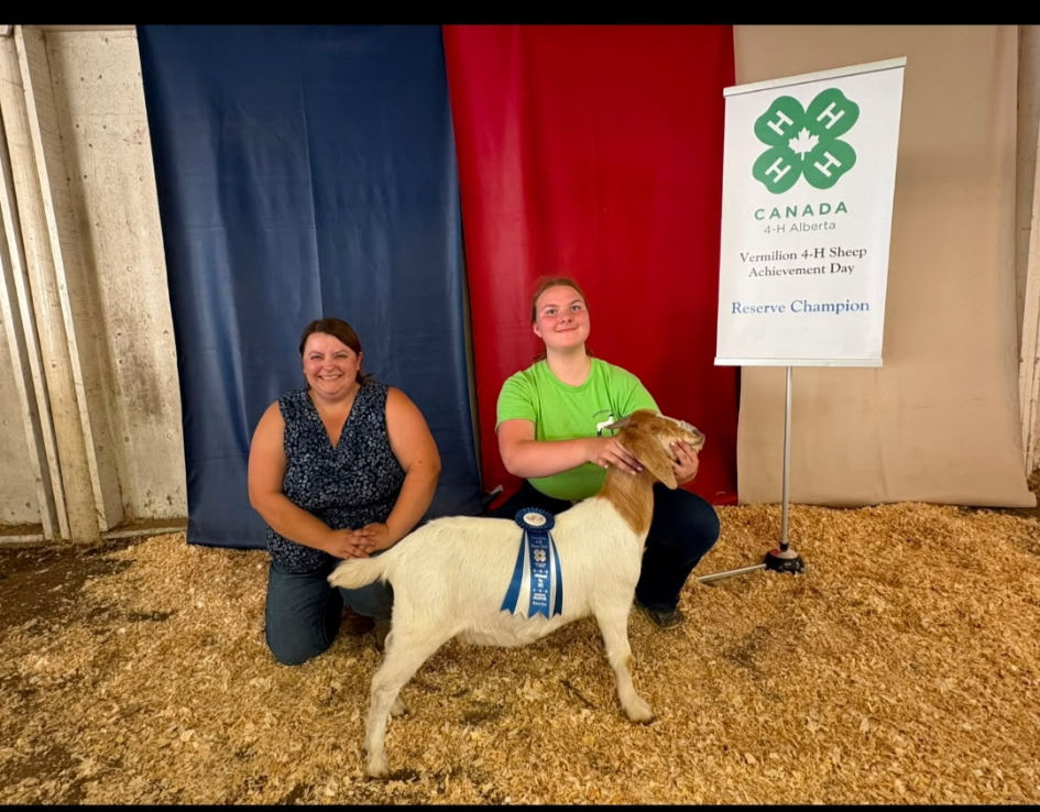Vermilion 4-H Sheep Club Achievement Day Results