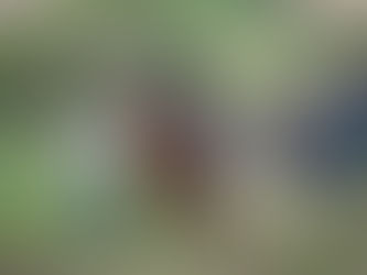 Family Farm Round Up