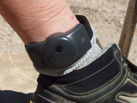 Ankle Bracelets: Alberta's Step Towards Public Safety