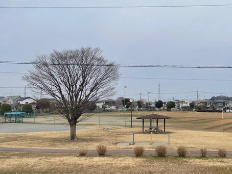 野木町〜栃木県の南玄関口〜