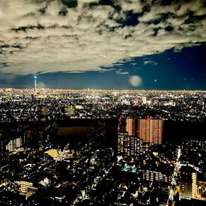 市川市〜東京に隣接する一大ベッドタウン〜