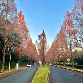大網白里市~白里海岸のまち~