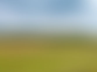 小竹町〜小竹の処〜