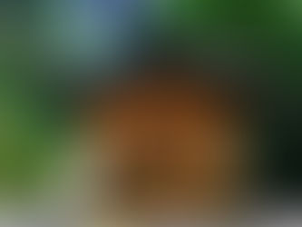 日野町〜金持神社のまち〜