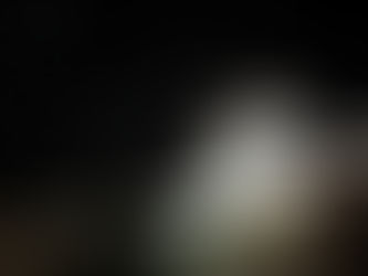 岸和田市〜だんじりのまち〜