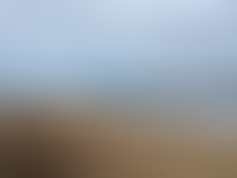 習志野市~谷津干潟のまち~