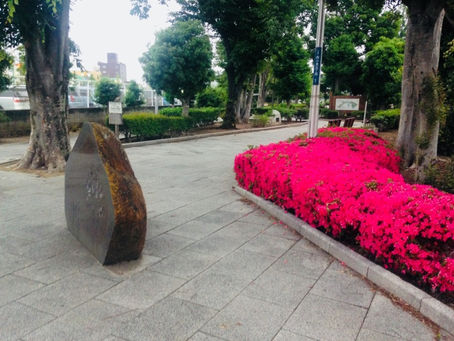 まるで海外!?大泉町〜南米感漂うまち〜