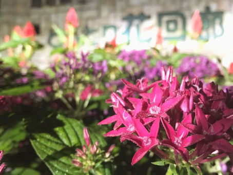 南部町〜とっとり花回廊のまち〜