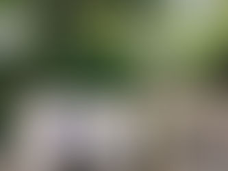 千早赤坂村〜楠木正成のまち〜