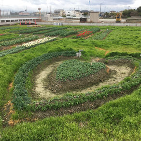 北島町〜チューリップのまち〜