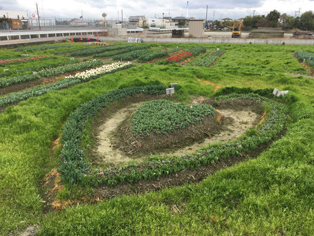 北島町〜チューリップのまち〜