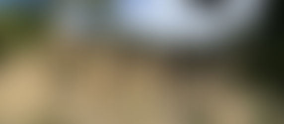 阿波市〜土柱のまち〜