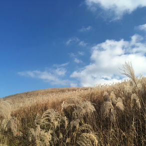 紀美野町〜生石高原のまち〜