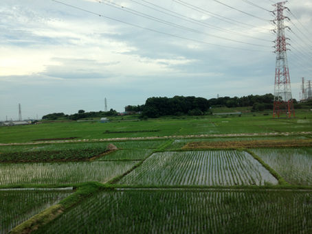 伊勢原市～大山のまち～