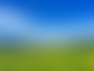 飯山市〜菜の花のまち〜