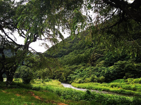 木祖村〜木曽川の源流のまち〜