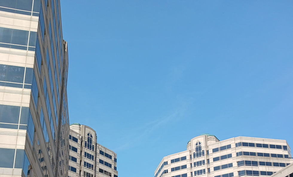 generic office landscape.jpg