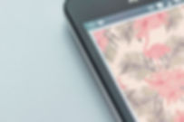Cell Screen Closeup