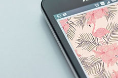 Cell Screen Closeup