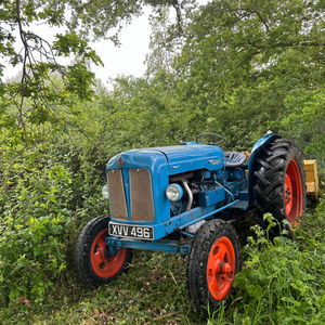 Fordson Diesel Major 