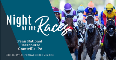 night at the races.png
