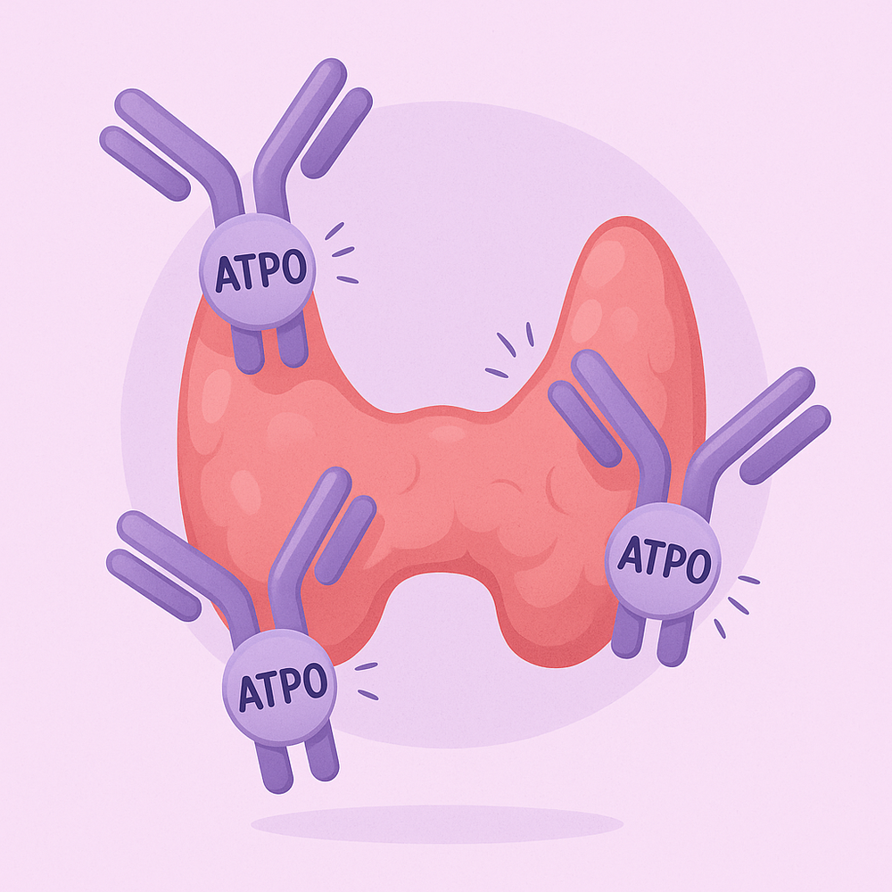 ATPO crescut – Ce înseamnă și cât de important este pentru sănătatea tiroidei?