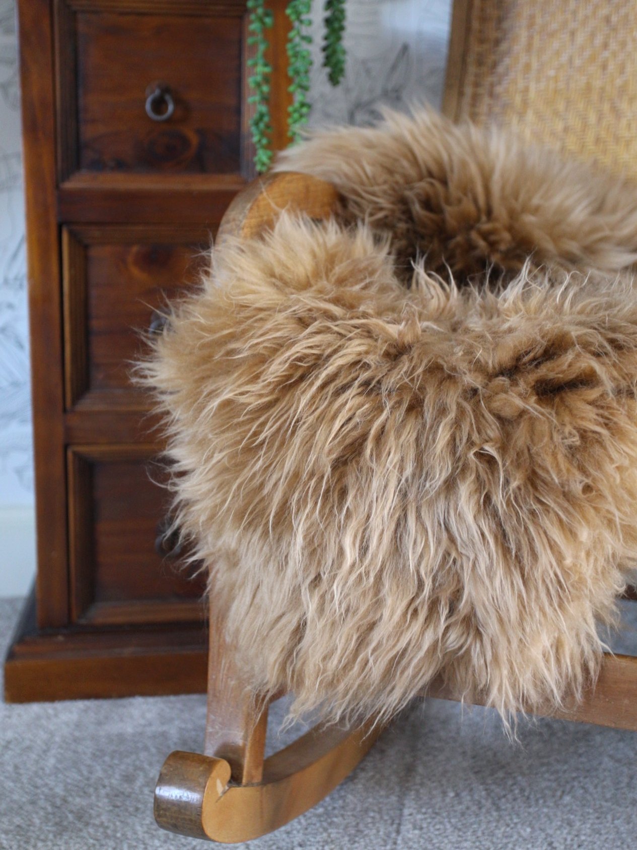 Icelandic Sheepskin - Butterscotch