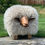 Thumbnail: Sheep Footstool - Curly 'Barley'