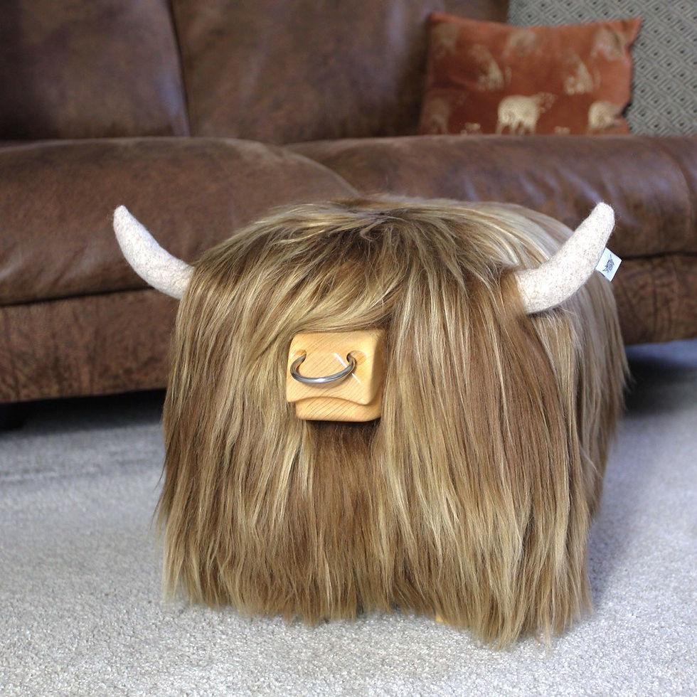Thumbnail: Highland Bull Footstool - 'Honey' with Nose ring