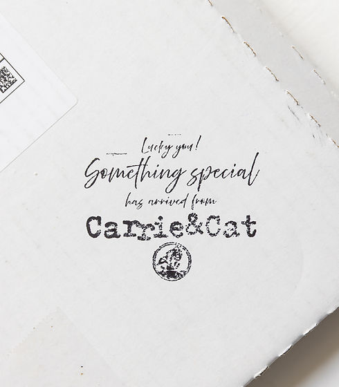 CarrieCat_Product-4_edited_edited.jpg
