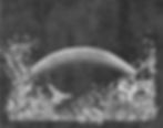 thumbnail_The-Adjacent-Impossible-front-cover-for-digital-HiRes_edited.jpg