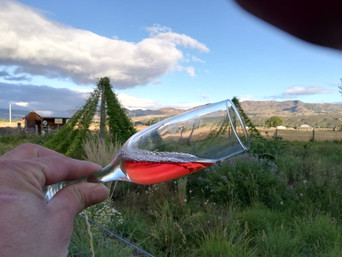 Experiencias Farm House en la Argentina
