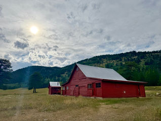 No Pressure Networking at CWBA Walk and Talks