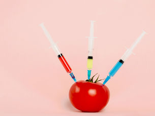 10 Toxic Beauty Ingredients to Avoid!