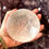 Thumbnail: Selenite Crystals Charging Bowl