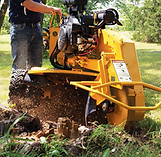 Stump grinding in Claremont, CA