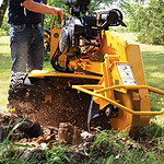 Stump grinding in San Bernardino, CA