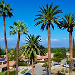 FD5A8301-03E7-48AF-AAA4-8277CE93CA7F_1_201_a_edited.jpg