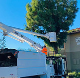 Bucket truck in Claremont, CA