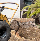 Stump grinding in Fontana, CA